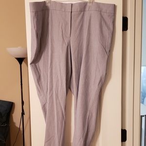 New plus size dress pants